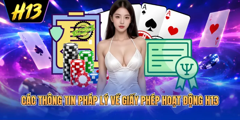 Các thông tin pháp lý về giấy phép hoạt động H13