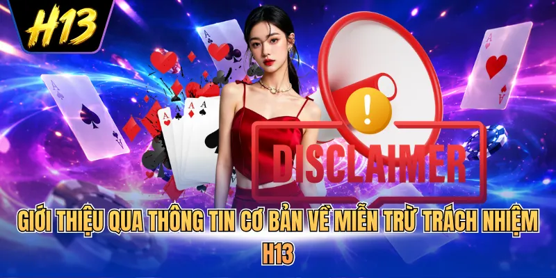 Giới thiệu qua thông tin cơ bản về miễn trừ trách nhiệm H13