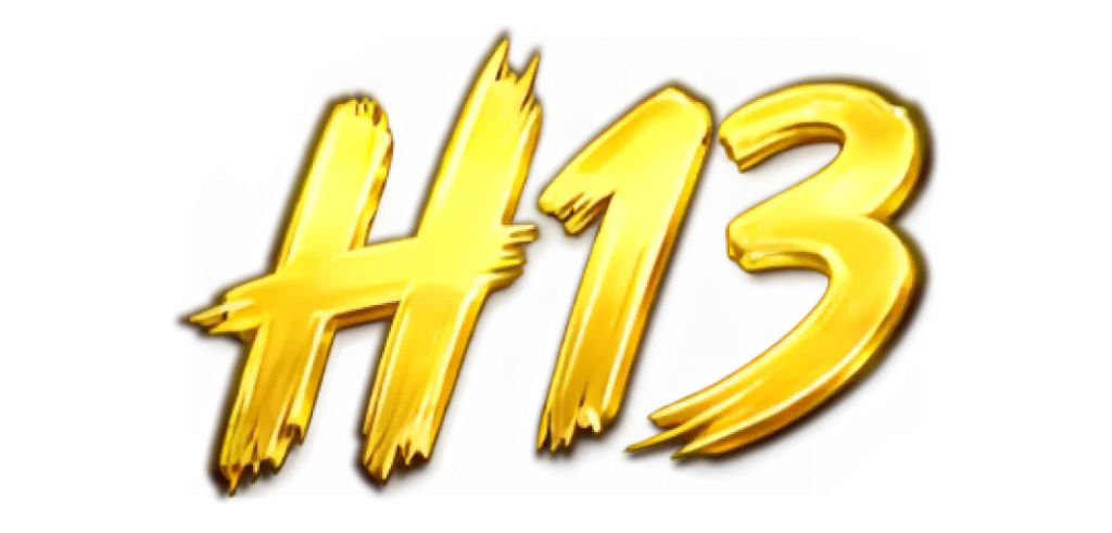 H13