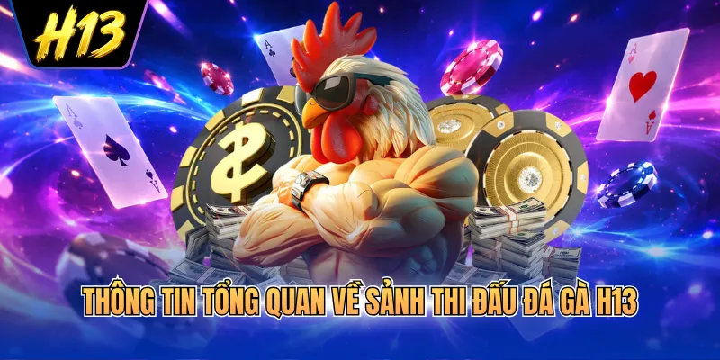 Thông tin tổng quan về sảnh thi đấu đá gà H13